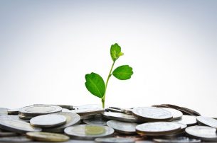 grow your business