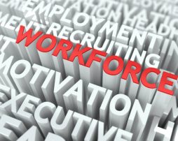 job center flyer