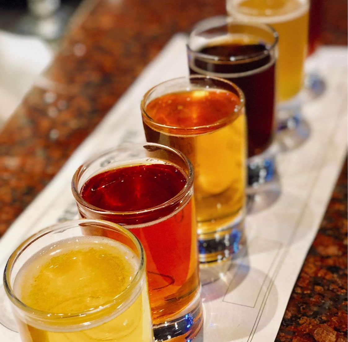beer tasting